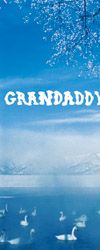 El Caminos In The West - Grandaddy - Labyrint Topp 20 - Topplistan som presenterar din favoritmusik