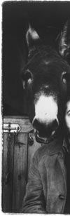 My Oblivion - Tindersticks - Labyrint Topp 20 - Topplistan som presenterar din favoritmusik