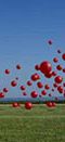 Analyse - Cranberries - Labyrint Topp 20